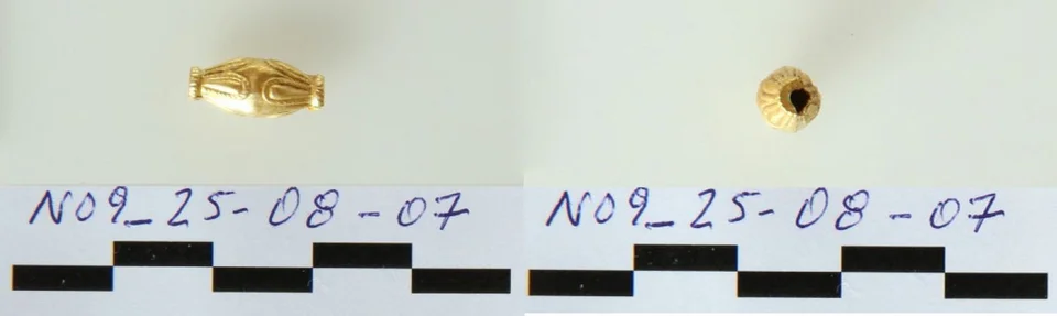 Χρυσή αμφικωνική ψήφος. Μουσείο Αίγινας