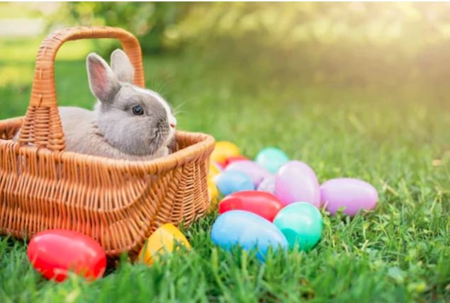 To λαγουδάκι του Πάσχα, μια από τις πιο αναγνωρίσιμες φιγούρες της  σύγχρονης λαϊκής κουλτούρας, δεν αποτελεί απλώς ένα αθώο σύμβολο  παιδικής χαράς και σοκολατένιων αυγών / SHUTTERSTOCK