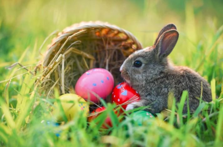 Η διαδρομή του μέσα στον χρόνο  αποκαλύπτει ένα σύνθετο πλέγμα θρησκευτικών συμβολισμών, παγανιστικών  τελετουργιών και πολιτισμικών μετασχηματισμών που εκτείνεται από τη  νεολιθική Ευρώπη έως τη σημερινή εμπορευματοποιημένη εορταστική  παράδοση / SHUTTERSTOCK