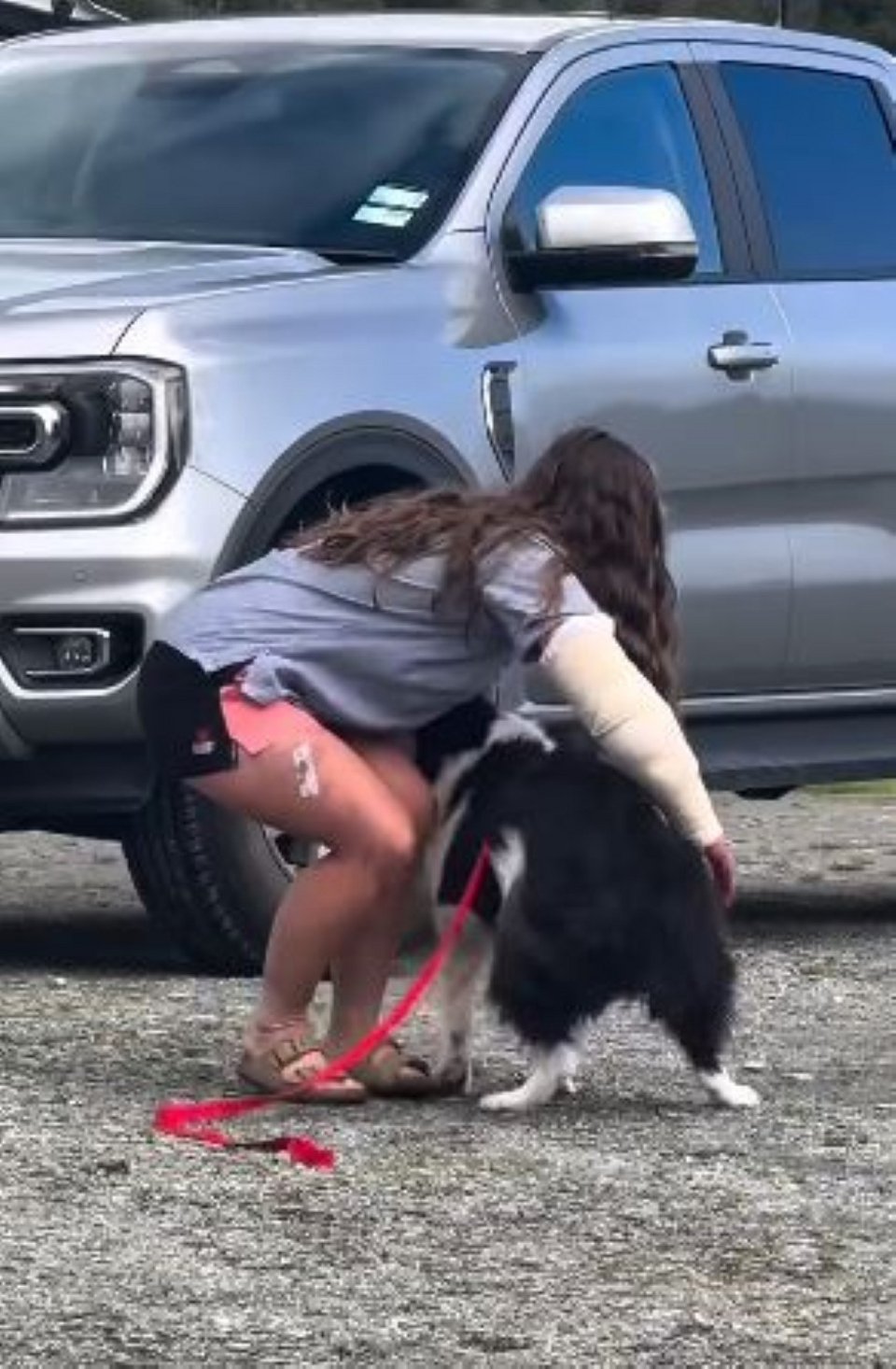 Η Μόλι τρέχει προς την ιδιοκτήτριά της / Φωτογραφία: Screenshot / Βίντεο: Precision Helicopters Ltd 