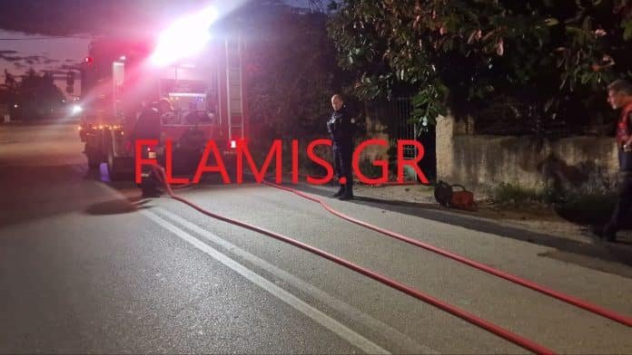 Στο σημείο έσπευση η Πυροσβεστική