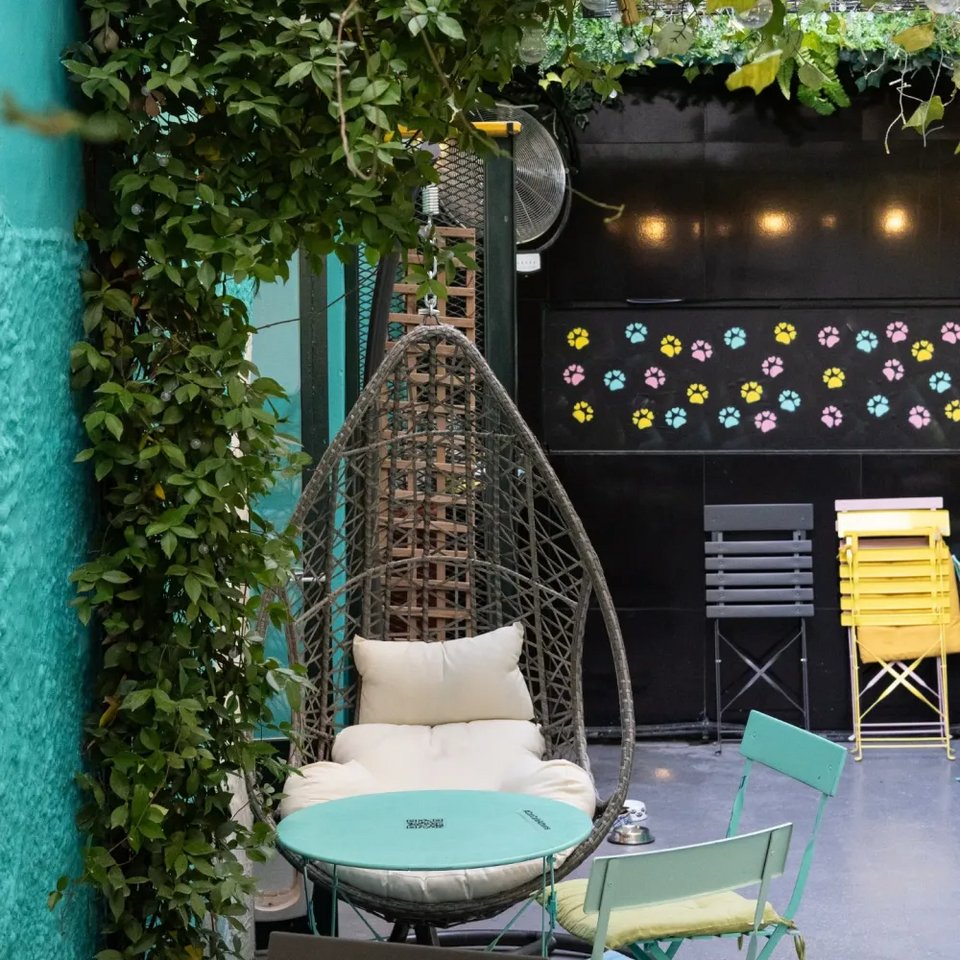 Στo Cat Cafe Athens θα απολαύσεις αρωματικό καφέ, ροφήματα, ενώ το κατάστημα φημίζεται για τα γλυκά του, όπως pancakes, μηλόπιτες, πορτοκαλόπιτες και βελούδινα σουφλέ σοκολάτας