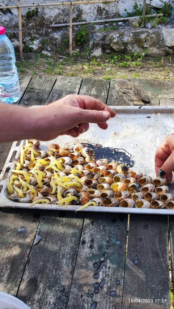 Μαζεύουν τα μικρά κελύφη, εκατοντάδες σε κάθε γειτονιά, τα γεμίζουν με λάδι, βάζουν φυτίλι και τ' ανάβουν