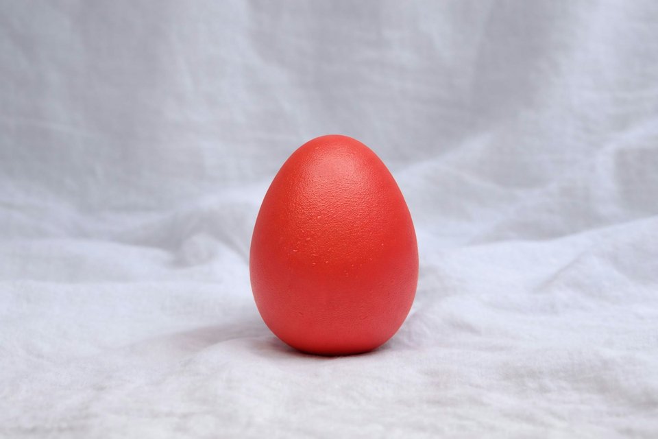 Φωτογραφία: Unsplash