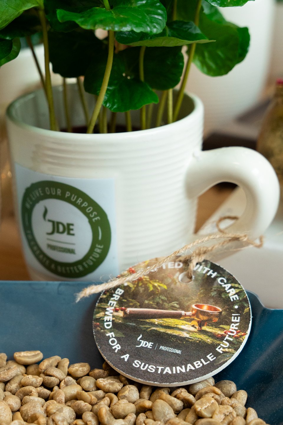 Φυτό και κόκκοι καφέ, σεμινάριο στο Coffee Masters Campus του L’OR