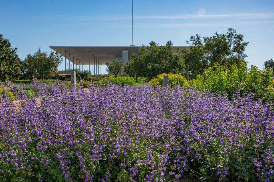 Πρωτομαγια στο ΚΠΙΣΝ