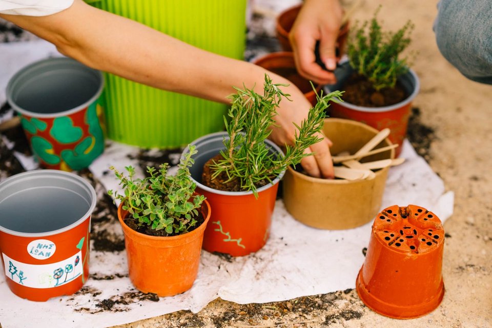 Ένα βιωματικό εργαστήριο αφιερωμένο στα λουλούδια