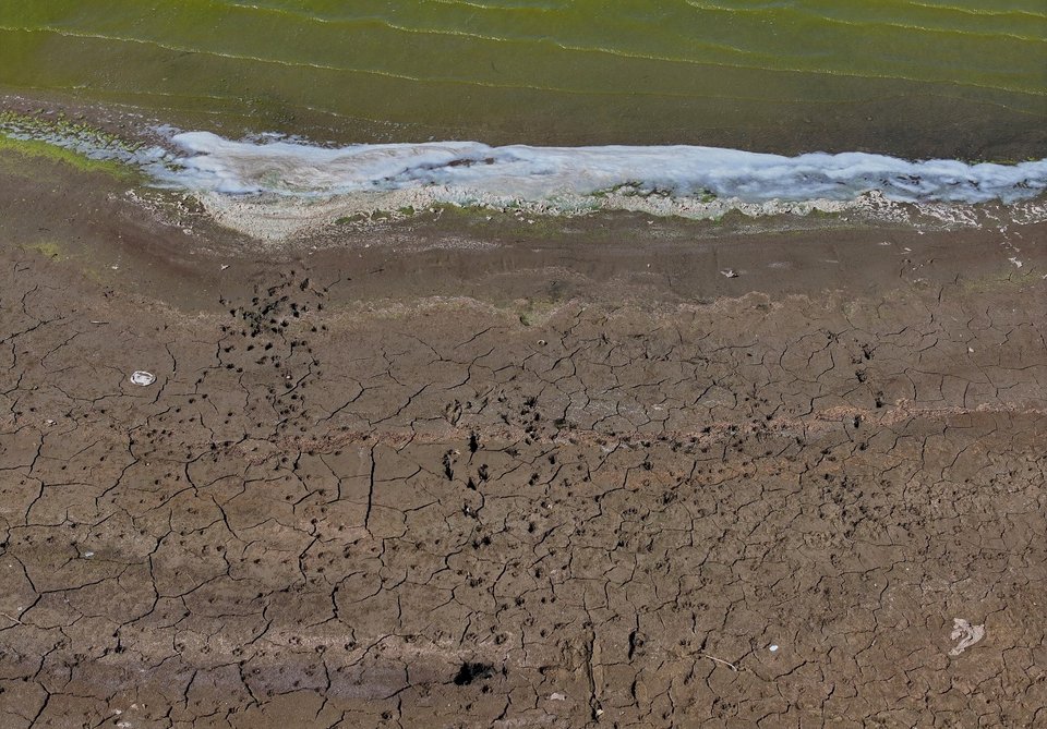  Ξηρασία / Φωτογραφία: AP  