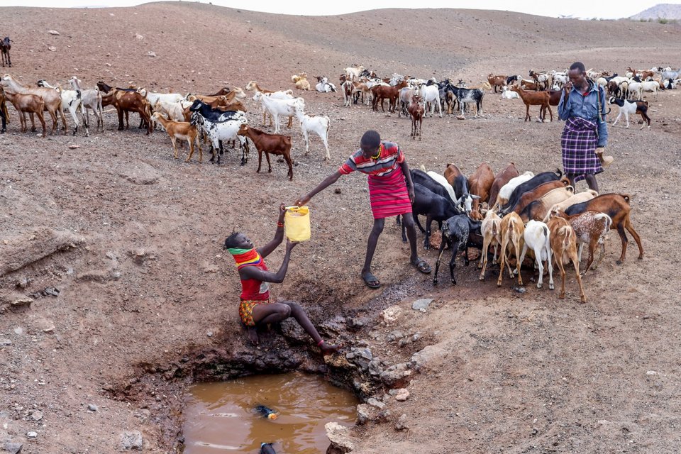 Κένυα, Φεβρουάριος, Ξηρασία και Λειψυδρία / Φωτογραφία: AP
