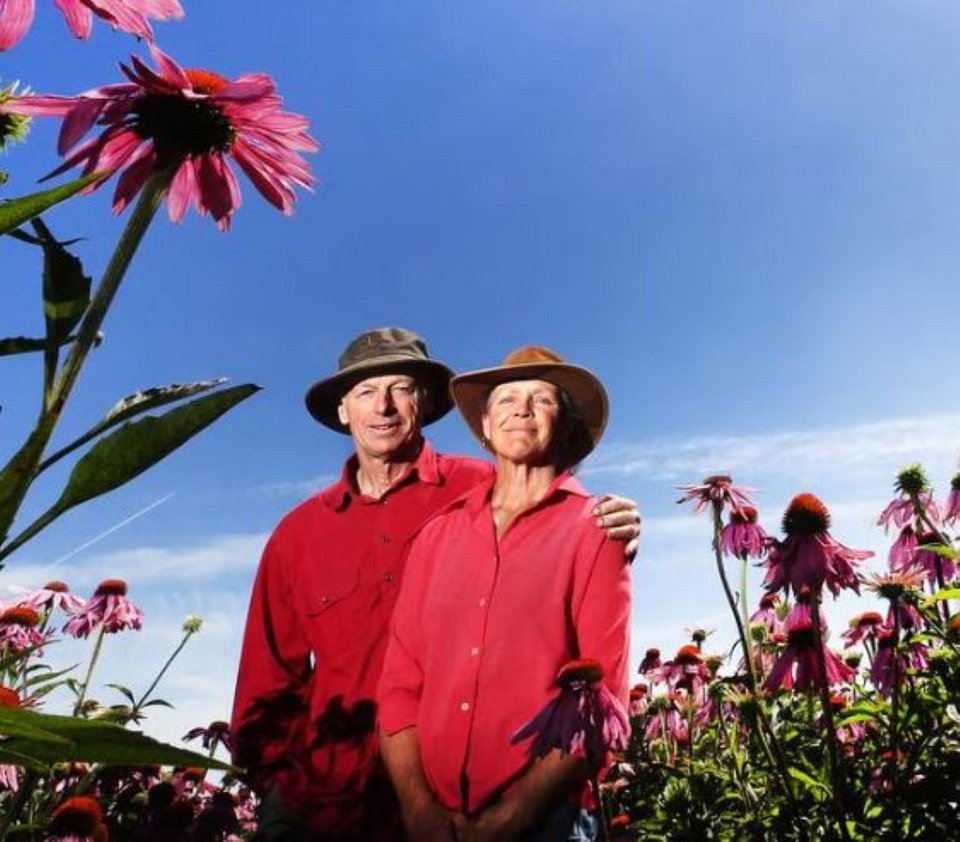 Φωτογραφία: Screenshot