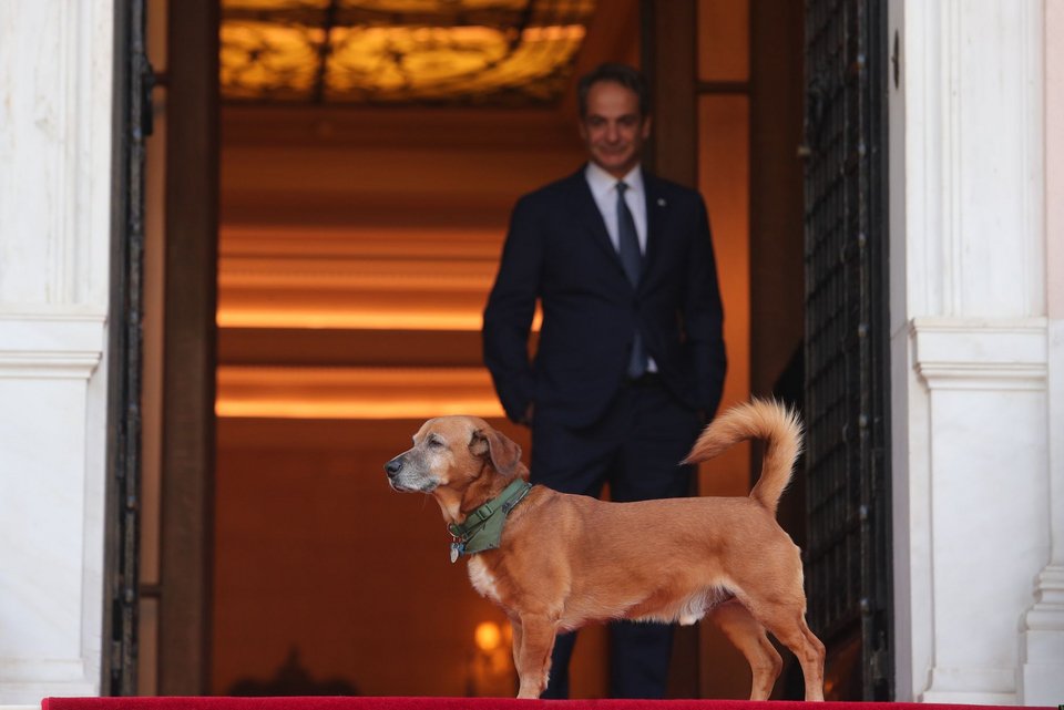 Η επίσκεψη Αλβέρτου στο Μέγαρο Μαξίμου