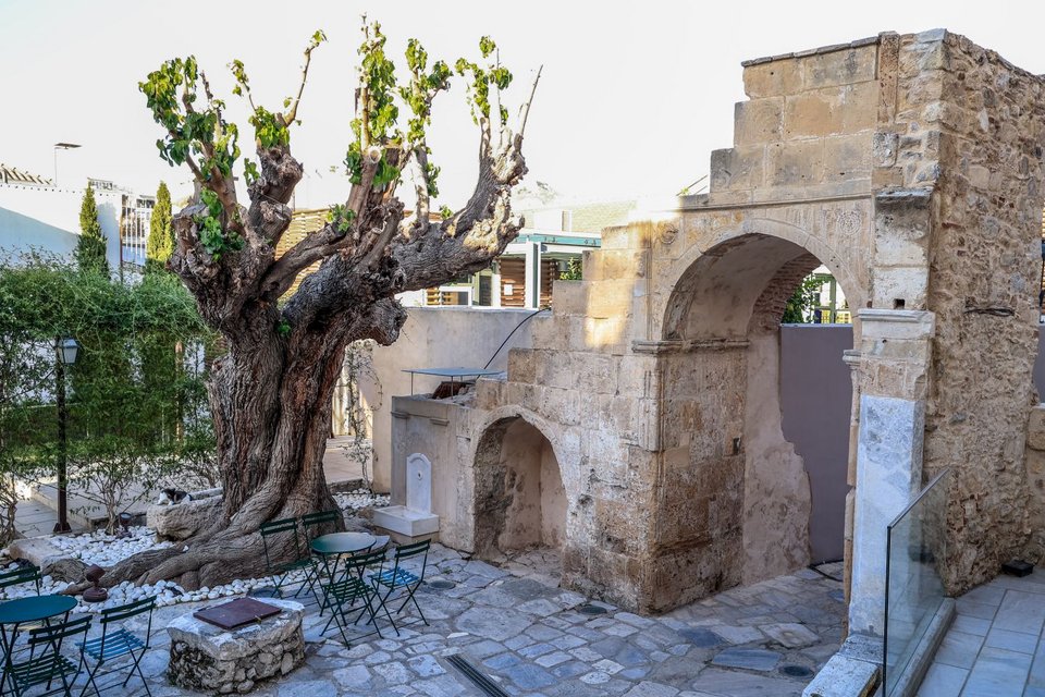 Χώροι φιλοξενίας εκδηλώσεων, υπαίθριο θέατρο, χώροι στάσης και ανάπαυσης, αναψυκτήριο και πωλητήριο, συνθέτουν την εικόνα ενός σύγχρονου και με ιδιαίτερη ταυτότητα Μουσείου