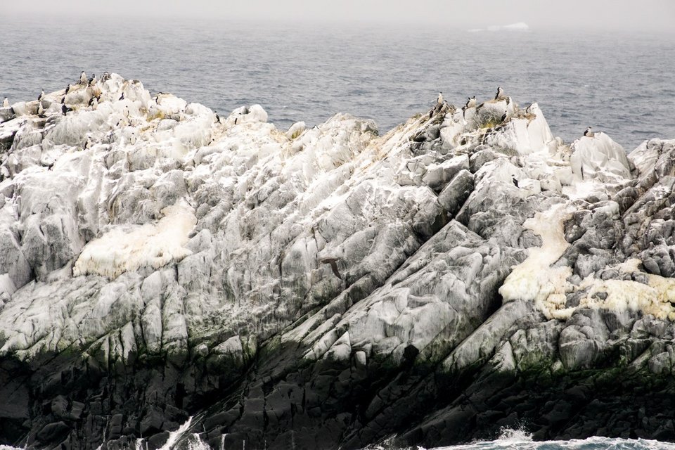 Νησί στην Ανταρκτική που μοιάζει με παγόβουνο / Φωτογραφία: Ινστιτούτο Alfred Wegener 