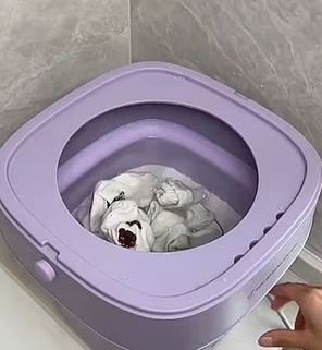 Φορητά πλυντήρια ρούχων / Φωτογραφία: ΤικΤοκ 