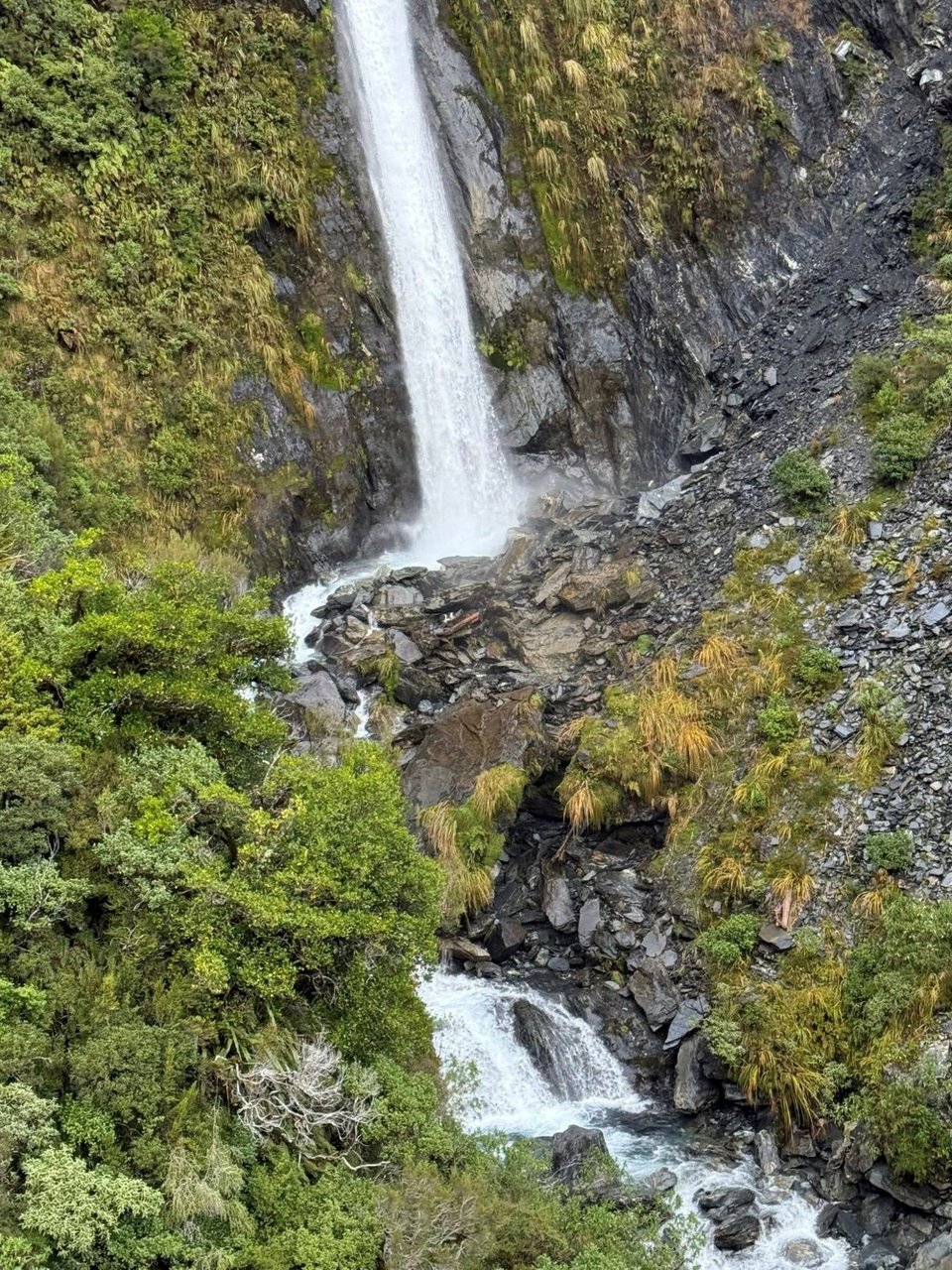Η Μόλι, «μία κουκκίδα στο πουθενά» / Φωτογραφία: Screenshot / Video: Precision Helicopters Ltd 