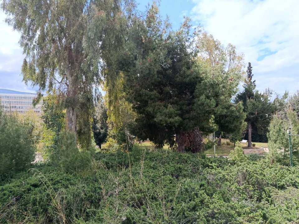 Υπήρξε η χειμερινή κατοικία της Δούκισσας της Πλακεντίας