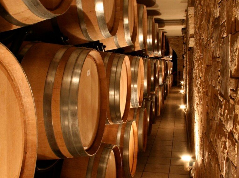 Φωτογραφία: Από το αρχείο της Ενωσης Οινοπαραγωγών Αμπελώνα Αττικής (ΕΝΟΑΑ)