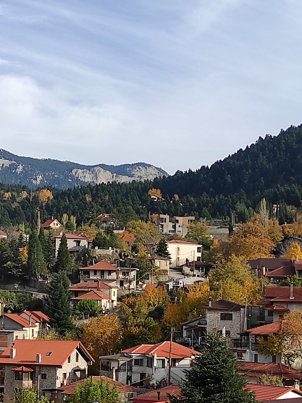 Ένα πανέμορφο χωριό στις πλαγιές του Παρνασσού