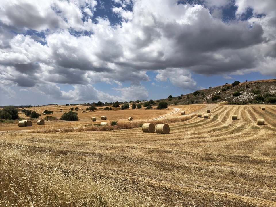 Βιολογικές καλλιέργειες στην Κύπρο - ΑΠΕ-ΜΠΕ 