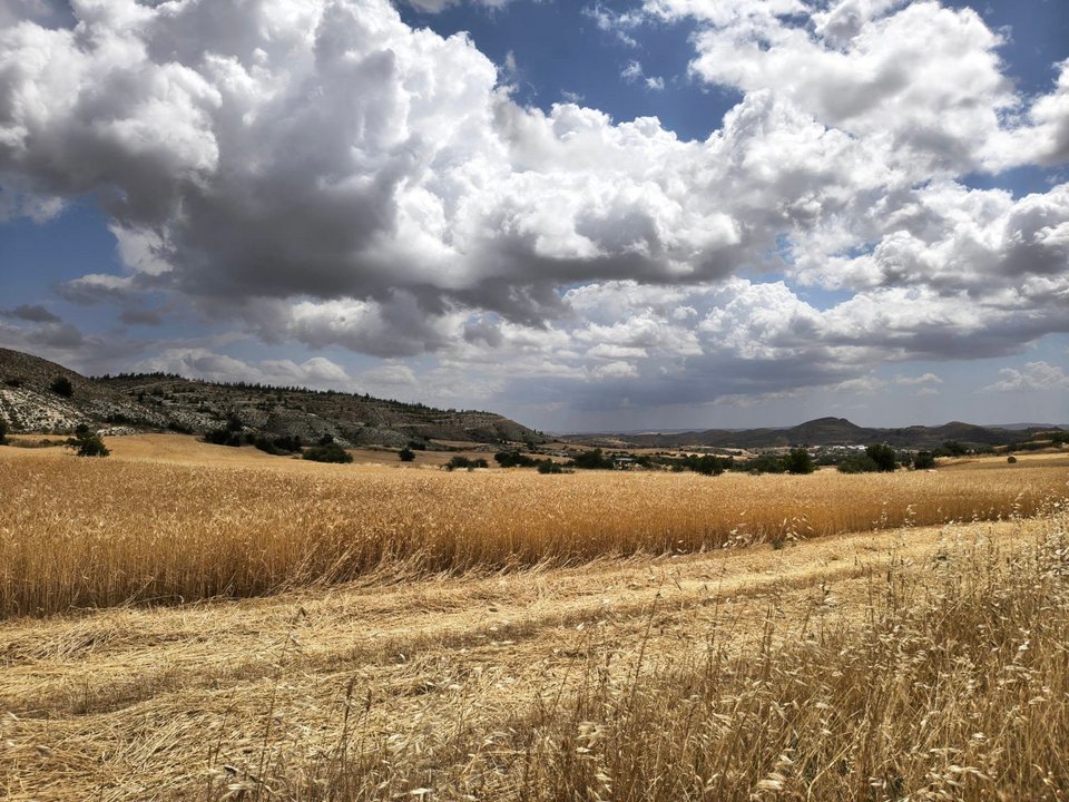 Βιολογικές καλλιέργειες στην Κύπρο - ΑΠΕ-ΜΠΕ 