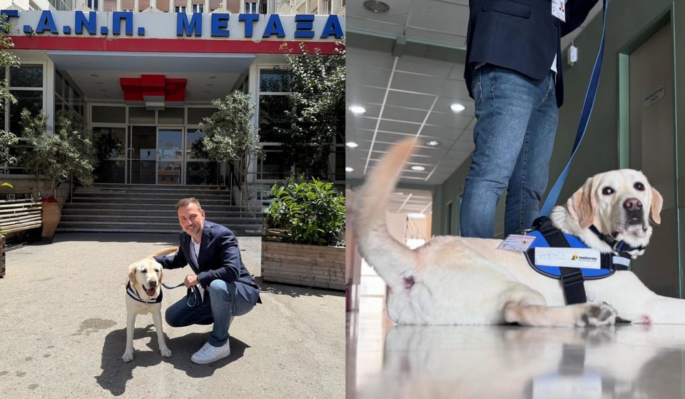Ο Ντύλαν θα βρίσκεται δίπλα στους ογκολογικούς ασθενείς της Μονάδας Ημερήσιας Νοσηλείας