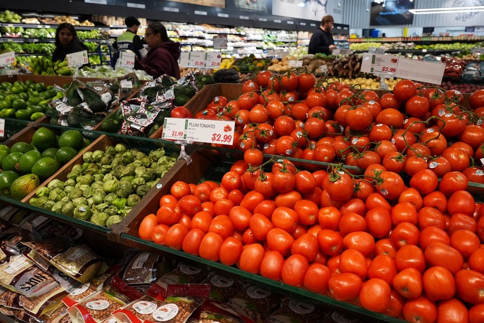 Ντομάτα του super market, ευρείας παραγωγής, γενετικά τροποποιημένη / Φωτογραφία: AP