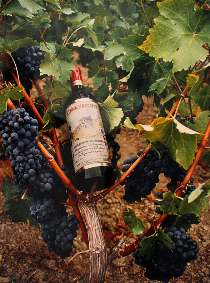 To εμβληματικό Κτήμα Κατσαρού. 80 % Cabernet Sauvignon 20% Μerlot. Πληθωρική και έντονη μύτη φραγκοστάφυλου, βύσσινου, μαύρου κερασιού με νότες μελανιού και βουτύρου. Στόμα παχύ και βελούδινο με άψογη δομή και τανίνες που υπόσχονται αντοχή στο χρόνο. Μακρά επίγευση και μεγάλη διάρκεια.