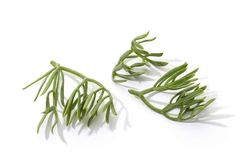 Φωτογραφία: Shutterstock 