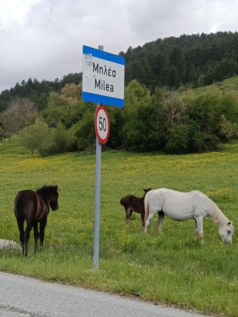 Μηλιά ορεινό χωριό ήπειρος καλοκαίρι 