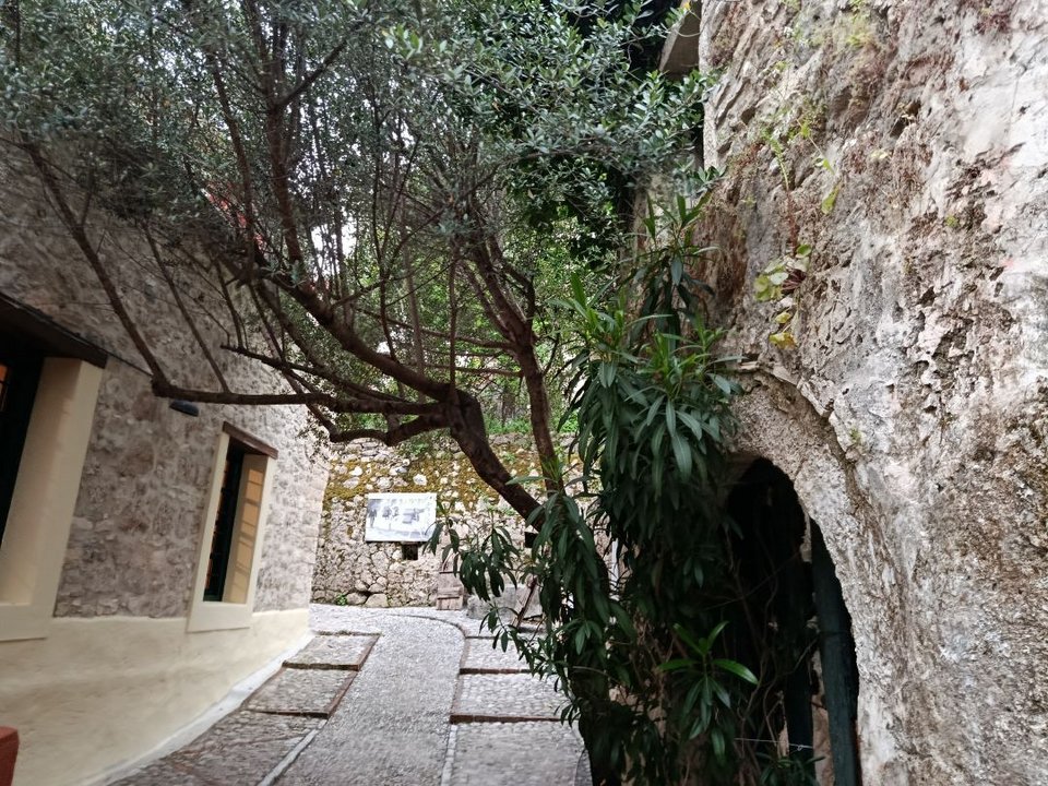 Ο εξωτερικός χώρος του μουσείου ελιάς / Φωτογραφία: Χριστίνα Ζάχου για το iefimerida.gr