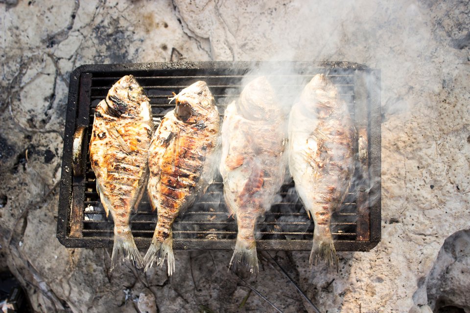 Φωτογραφία: Shutterstock