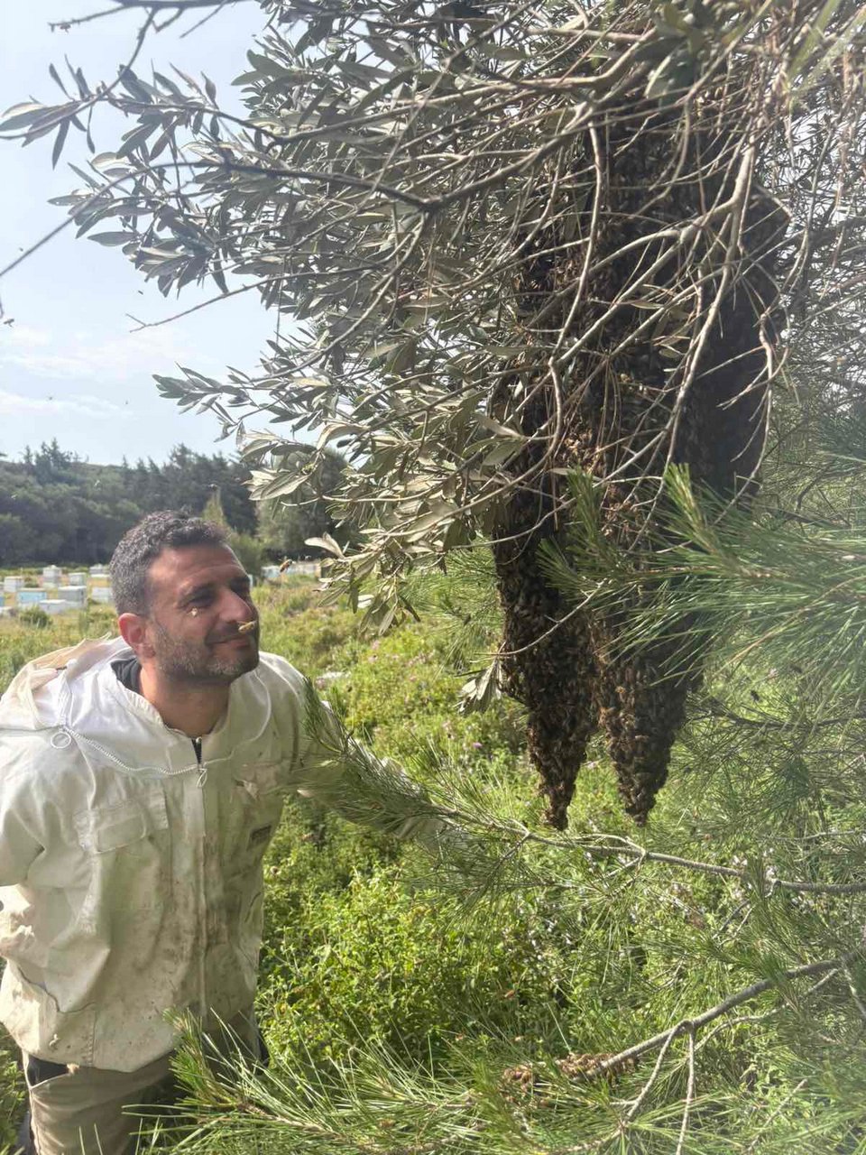  Αντώνης Θεοδωράτος 