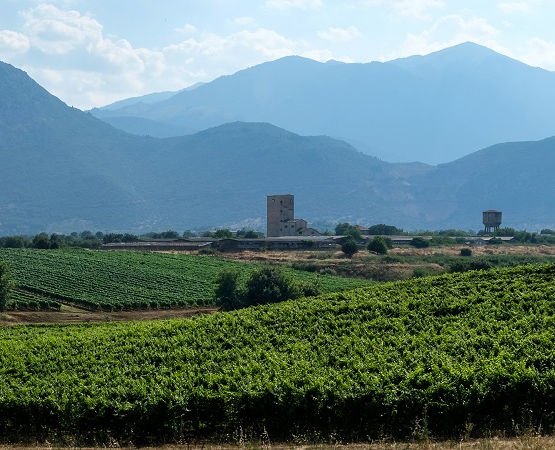 Κτήμα Αργύριου στο Πολύδροσο / argyriouwinery.gr