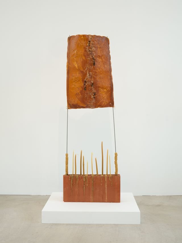 "Litany", της Ιφιγένειας Παππά.