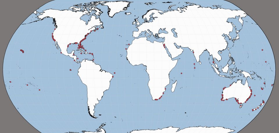 Χάρτης του  International Shark Attack File, του Μουσείου Φυσικής Ιστορίας της Φλόριντα με τις καταγεγραμμένες την πενταετία 2020-2025 «απρόκλητες» επιθέσεις καρχαριών ανά την υφήλιο