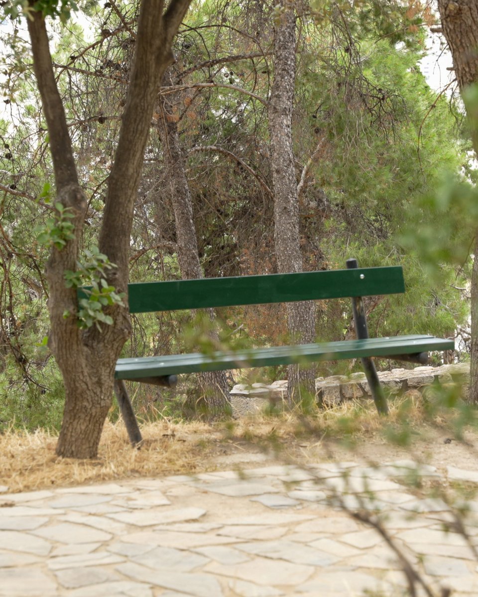 Εργασίες ανάπλασης στον Λυκαβηττό / Δήμος Αθηναίων 