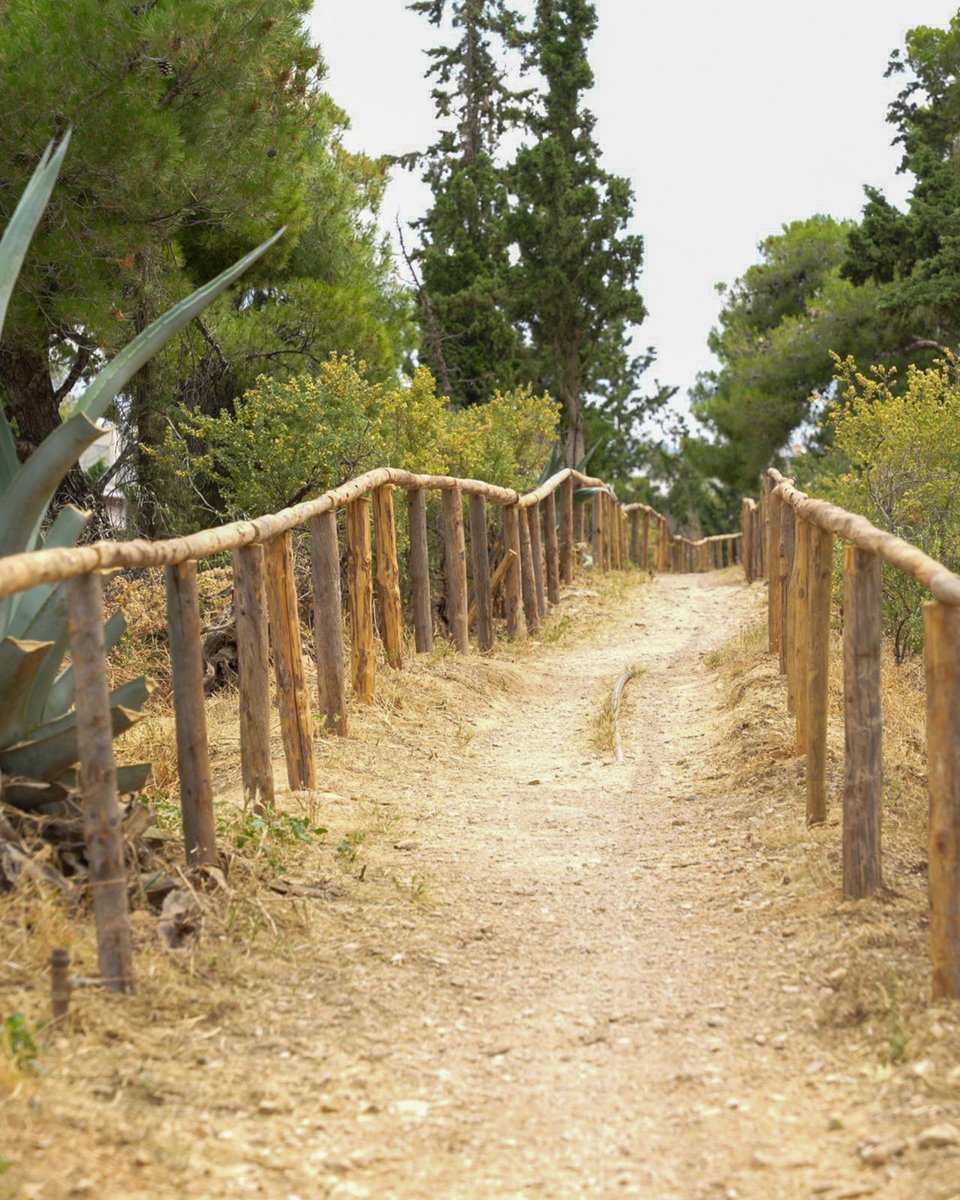 Εργασίες ανάπλασης στον Λυκαβηττό / Δήμος Αθηναίων 