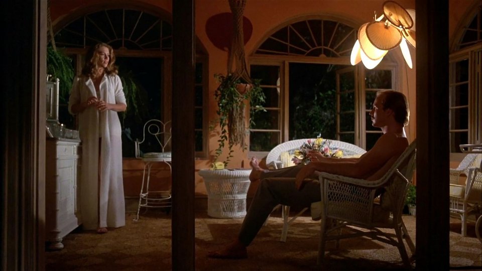 Lawrence Kasdan, Body Heat
