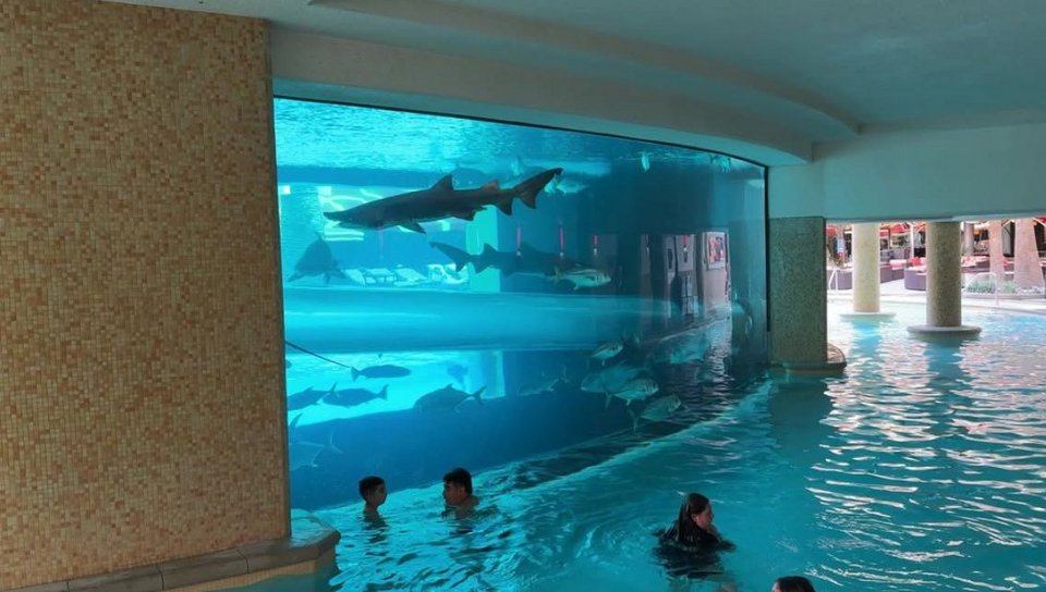 Η περίφημη Tank Pool επιτρέπει στους επισκέπτες να κολυμπούν δίπλα σε καρχαρίες και άλλα θαλάσσια είδη, τα οποία βρίσκονται σε γιγαντιαίο ενυδρείο ακριβώς δίπλα στην πισίνα, χωρισμένα μόνο από παχύ γυαλί