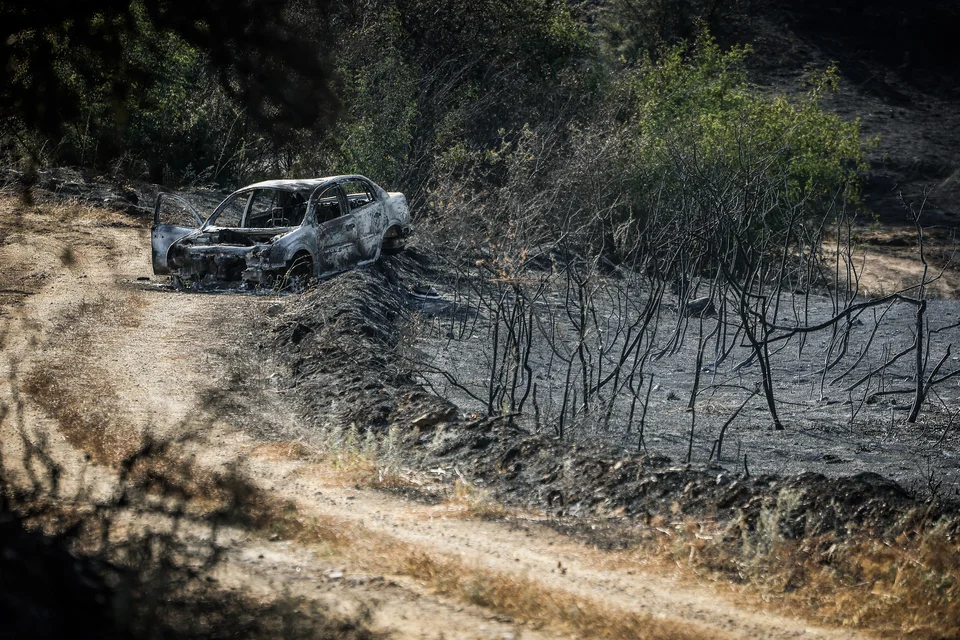  Φωτογραφία: ΒΑΣΙΛΗΣ ΒΕΡΒΕΡΙΔΗΣ / EUROKINISSI 