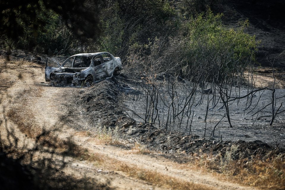  Φωτογραφία: ΒΑΣΙΛΗΣ ΒΕΡΒΕΡΙΔΗΣ / EUROKINISSI  