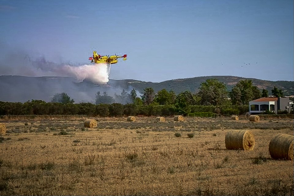 Φωτιά στη Σουρωτή, κοντά στη Θέρμη, στη Θεσσαλονίκη / Eurokinissi
