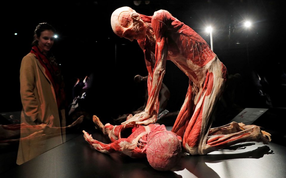 «Ο Διασώστης», έκθεμα του Body Worlds στο Piccadilly Circus, Λονδίνο, 4 Οκτωβρίου 2018 (AP Photo/Frank Augstein)