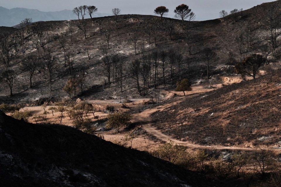 Καμμένη γη μετά την ακταστροφική πυρκαγιά στην Ισπανία