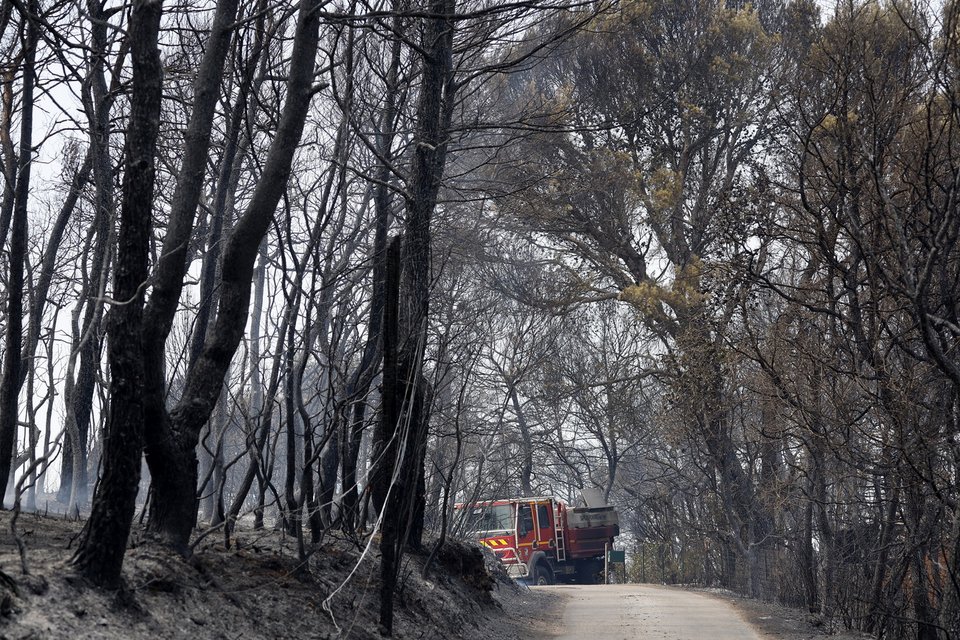 Καμένο δάσος στη νοτιοδυτική Γαλλία / EPA μέσω ΑΠΕ-ΜΠΕ 