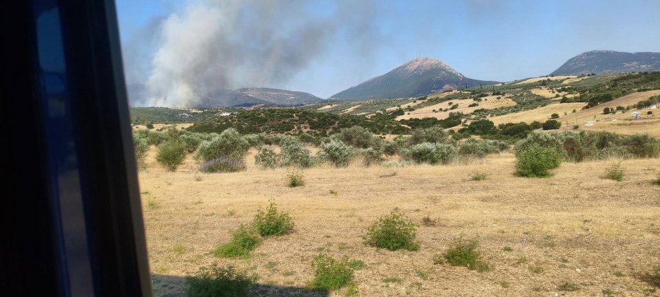 Φωτιά στην Αγία Ελένη Τροιζήνας / Φωτογραφία: Facebook