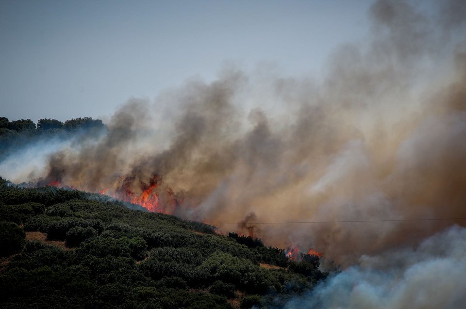 Μεγάλη φωτιά στο Δερβένι Θεσσαλονίκης: Ενισχύονται συνεχώς οι πυροσβεστικές δυνάμεις - (ΒΑΣΙΛΗΣ ΒΕΡΒΕΡΙΔΗΣ/EUROKINISSI) 