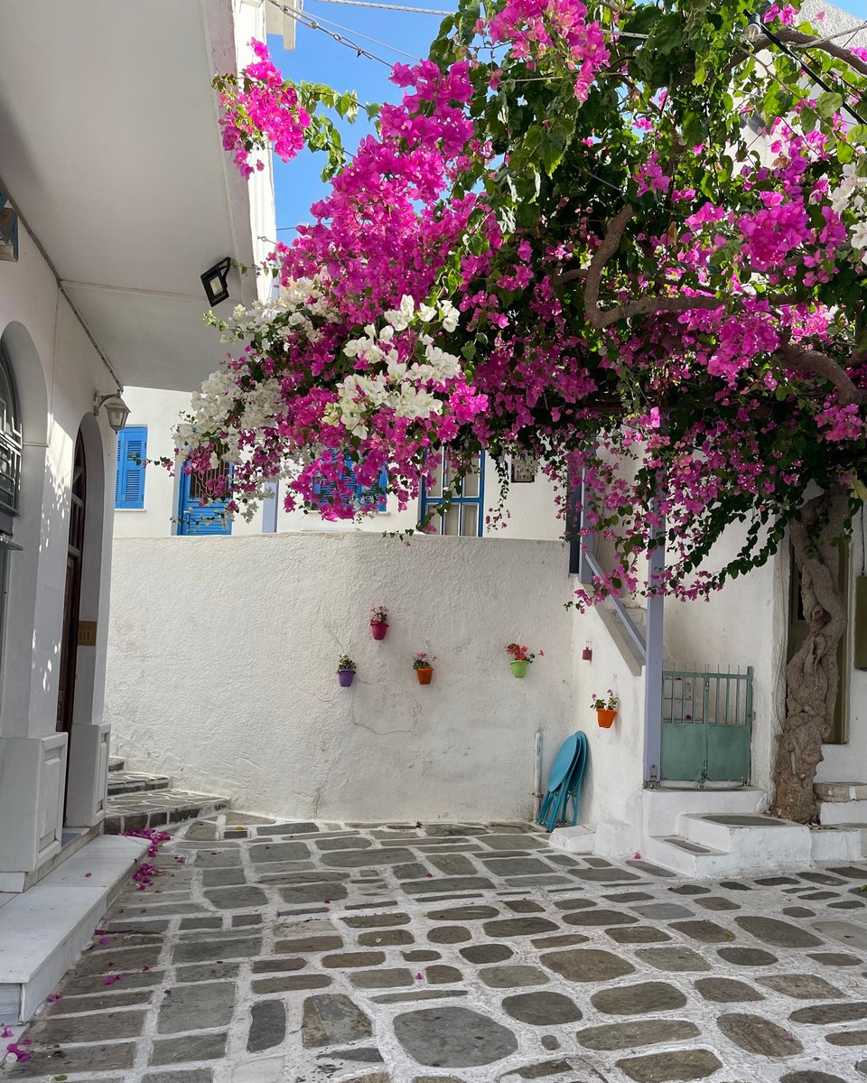 Η Ίος συγκαταλέγεται στους ποιοτικούς προορισμούς της Ευρώπης που προτείνει το TRAVELBOOK το μεγαλύτερο διαδικτυακό ταξιδιωτικό περιοδικό της Γερμανίας με τη σφραγίδα της BILD