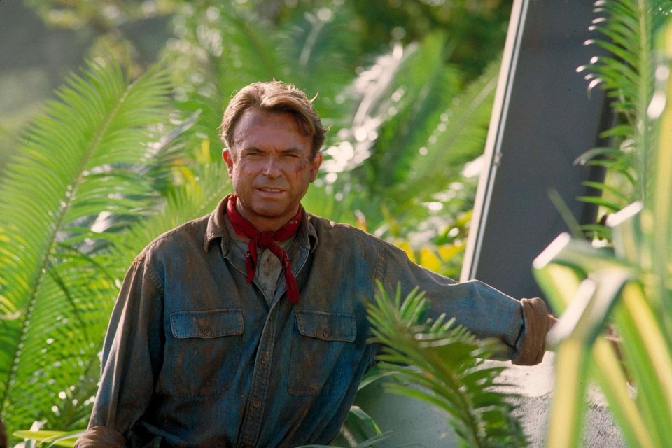 Ο ηθοποιός Σαμ Νιλ στην ταινία «Jurassic Park» 