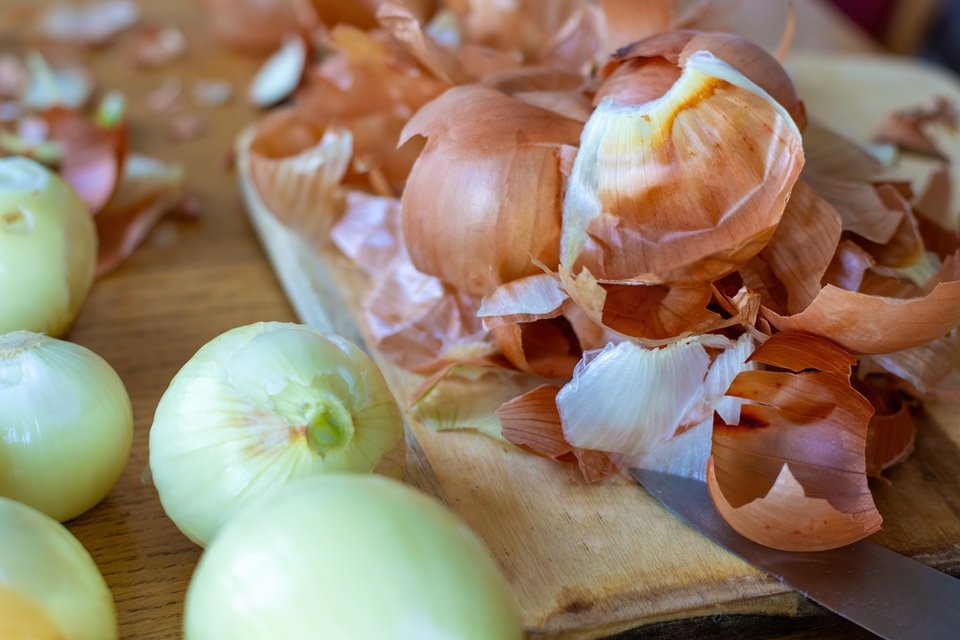 Φωτογραφία: Shutterstock